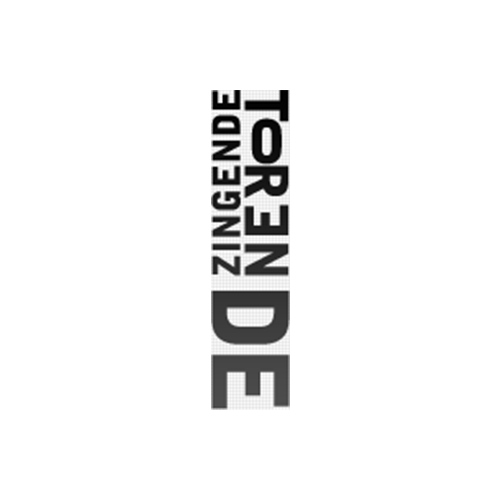 media/image/DeZingendeToren.png